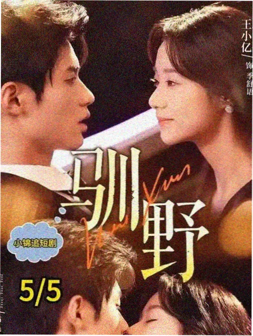 美剧雾港档案剧集封面